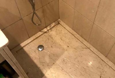 Apartament de vanzare tip studio zona centrala - 2