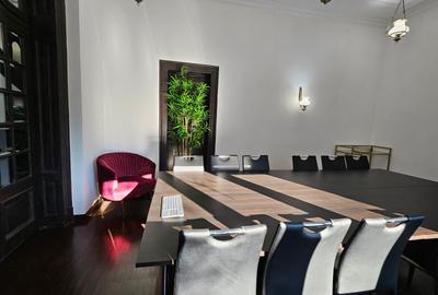 Vila pentru birou - Cismigiu - 3