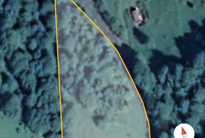 Inchiriez teren in Moieciu Brasov 2 lei mp - 3