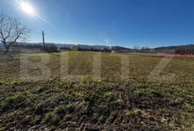 Casă cu 2 camere cu Teren 8000 Mp în Someș-Odorhei - 1