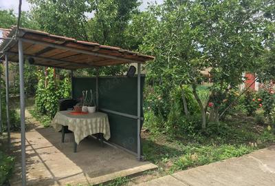 Casa de vanzare la cheie Comuna Traian, Jud. Teleorman Casa de vanzare la cheie Comuna Traian, Jud. Teleorman - 5