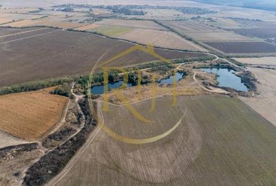 Investi?ie unica, 10 ha teren cu luciu de apa, ideal pentru turism ?i agrement! - 19