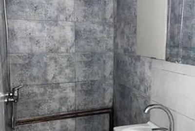 Garsoniera, PET FRIENDLY, zona Independentei - 4