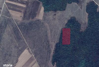 Spațiu comercial, în Vișina - 4