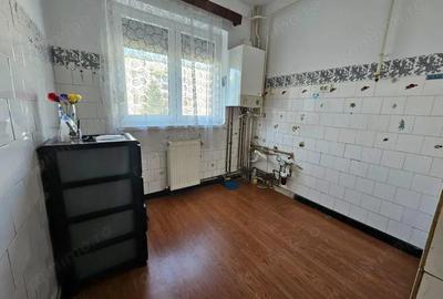 Apartament cu 2 camere semidecomandat în Lugoj - 2