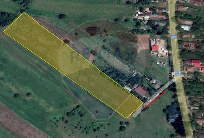 Oportunite - Gruiu Teren intravilan 4,800 mp / 100 m de A3 - 5
