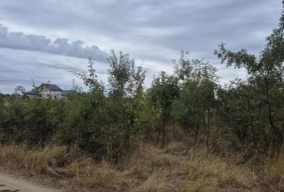 Teren de 5457 mp, în Măgurele - 4