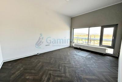 Spațiu industrial, în Nord-Vest - 4