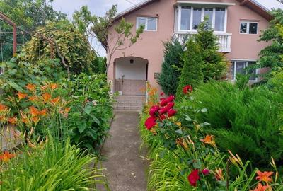 Particular, vând casa în  Baldana