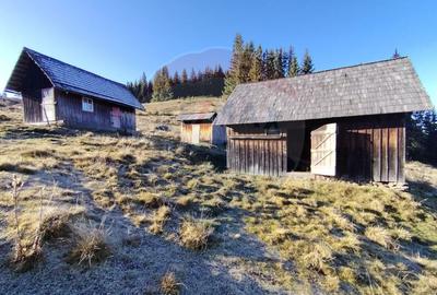 Teren 31,461mp Panaci / Prelungirea Ialovita - 5