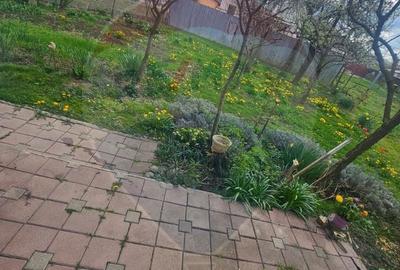 Casă cu 5 camere cu Teren 359 Mp în Central - 9