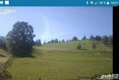 Teren în Fundata - 5