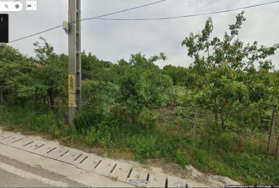 Casă cu Teren 2000 Mp în Comarna - 1