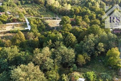 Teren de vanzare , 4834 MP, zona Vladesti - 4