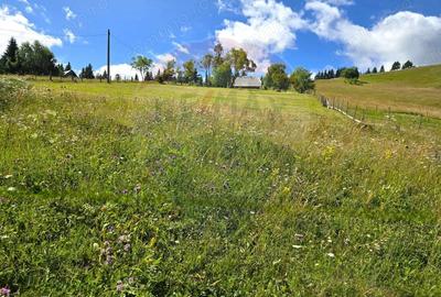 Teren de vis in Fundata 1934mp sau 3868mp, la inal?imea sufletului tau - 7