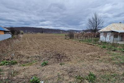 Teren intravilan in Sanduleni/Bacau de vanzare - 4