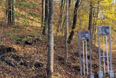 Vand teren cu padure la 5 km de Curtea de Arges,zona deal-munte,zona superba - 5