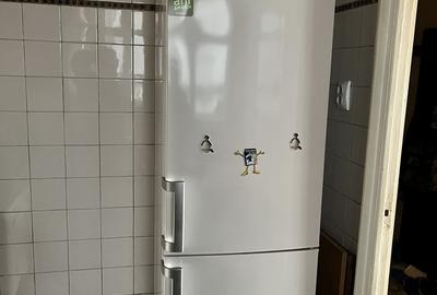 Oraselul Copiilor, piata Norilor - 7