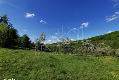 Spațiu comercial, în Budeasa - 7