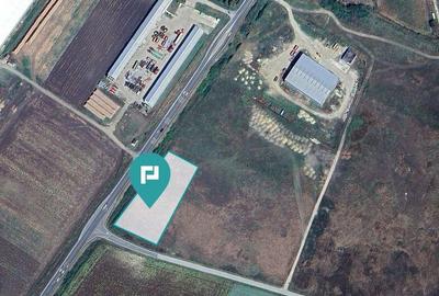 Teren intravilan, 5000 mp in Ciumeghiu, Bihor - 9