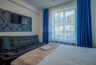 Vila de Lux in Statiunea Busteni - Investitie in Domeniul Hotelier - 18