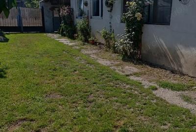 Casă cu 5 camere cu Teren 1000 Mp în Rotbav - 4