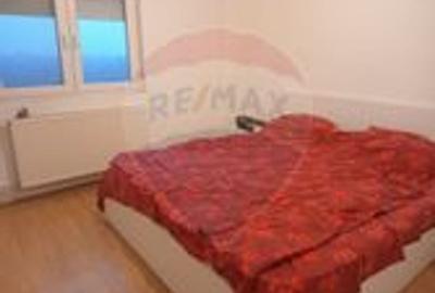 Apartament  4 camere de inchiriat MALUL MURESULUI - 18