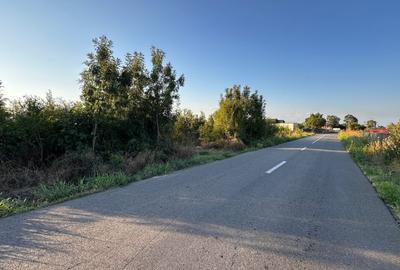 Teren 6700 mp Olteni, jud. Dambovita – la doar 900 m de Autostrada A1 (km 63) - 2