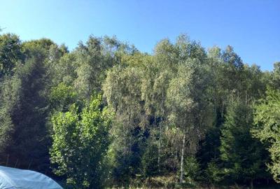 Vand casa+cabana Vand casa+cabana - 4