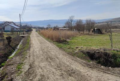 Teren de 8632 mp, în Dosu Bricii - 4