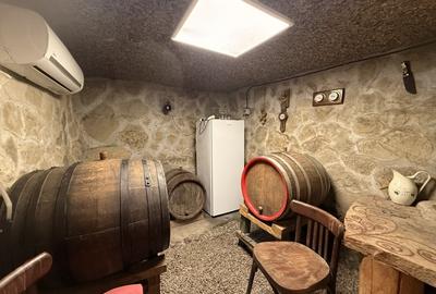 Casă individuală cu 3 camere cu Garaj în Cricău - 9