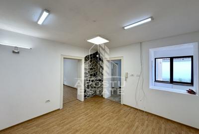 Casa cu teren 1451 mp, Dumbravita - 3