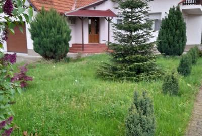 Casă cu 5 camere cu Teren 1100 Mp în Alma - 7