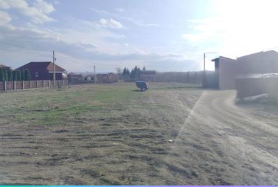 Teren de 5000 mp, în Podu Roș - 3