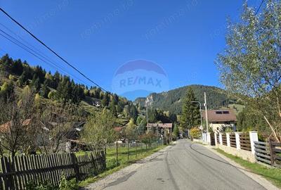 Casă cu Teren 2140 Mp în Moieciu - 16