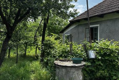 Casă cu 3 camere în Band - 2