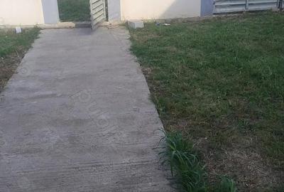 Casa mare in localitatea Lumina cu patru camere ?i 300 mp teren - 4