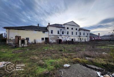 Proprietate tip conac, teren 4468 mp, oras Lipova - 3