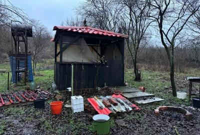 Casă cu 3 camere în Zlata - 12