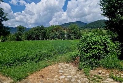 Teren intravilan 1000 mp - Viisoara, utilitati - 16