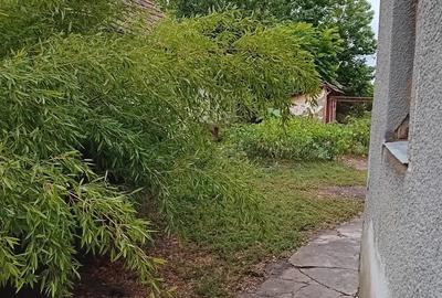 Casa de vinzare la Dorobanti, jud Arad - 2