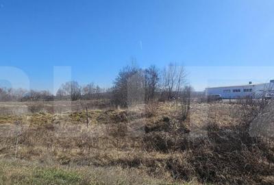 Teren intravilan, 3500 mp, pozitie strategica, Deva - 1