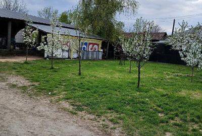 Casă cu Teren 1600 Mp în Serdanu - 2