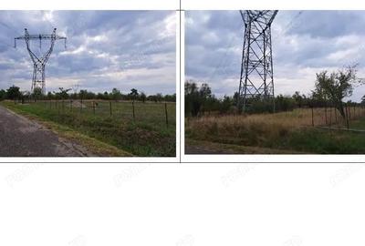 Teren extravilan arabil loc. Prunisor, jud. Mehedinti - 5