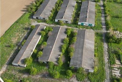 Ferma de in localitatea Bestepe Ferma de in localitatea Bestepe - 1