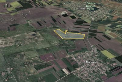 Teren 42 ha pentru parc fotovoltaic - Macea, Arad - 2