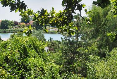 VILA 6 CAMERE SNAGOV IZVORANI LAC -TEREN 1800mp - 7