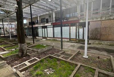 Spațiu comercial, de 50 mp, în Palazu Mare - 3