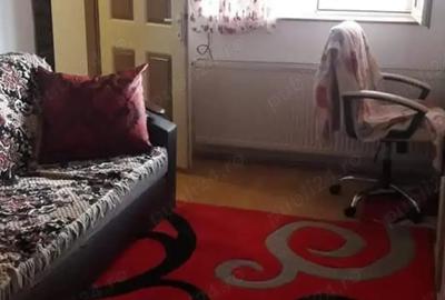 Apartament cu 2 camere decomandat în Aradul Nou - 8