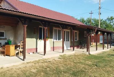 Casa Uileacu de munte - 5